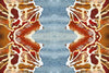 Wallpaper Orange and Blue Rose Abstract - £37.50 per Sq Metre Long Studio Design