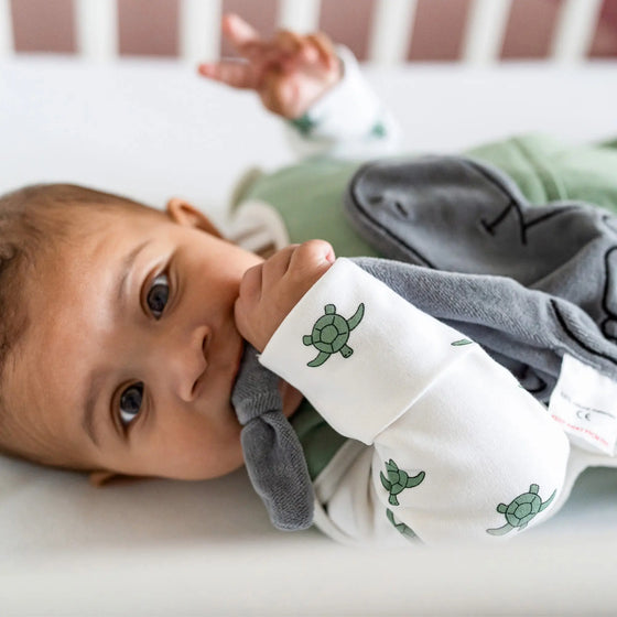 Winter Sleepsuit With Padded Sleeves (2pk) - Turtle Pure Earth Collection