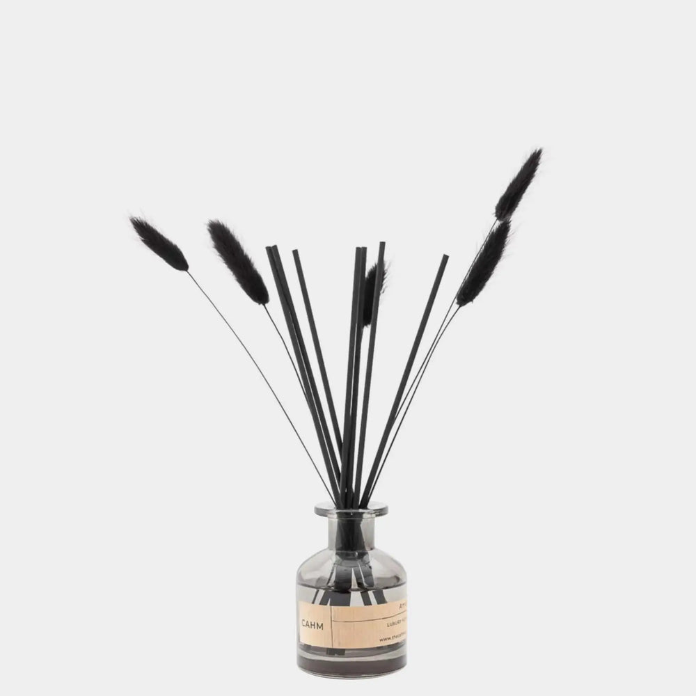 Wood Sage & Sea Salt Reed Diffuser - Black CAHM