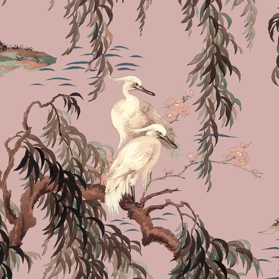 ZEUS Wallpaper - Blush House of Hackney