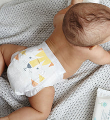  eco nappies Kit & Kin